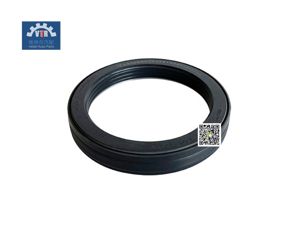 HD90009410996  輪轂油封  Hub oil seal  100×130×17/19mm   SHACMAN  HANDE  Truck front axle parts HD90009410996  輪轂油封  Hub oil seal  100×130×17/19mm   SHACMAN  HANDE  Truck front axle parts